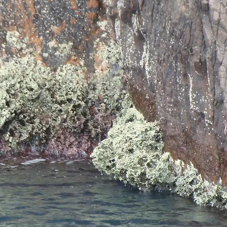 Au Pont De Tuarelli, Ludique, Galeria, Corse