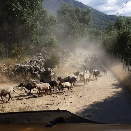 Au Pont De Tuarelli, Ludique, Galeria, Corse Villa Manso