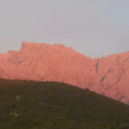 Villa Au Pont De Tuarelli, Ludique, Galeria, Corse *