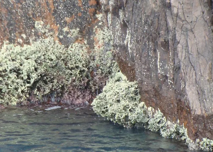 Au Pont De Tuarelli, Ludique, Galeria, Corse