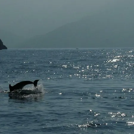 Au Pont De Tuarelli, Ludique, Galeria, Corse Villa