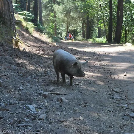 Au Pont De Tuarelli, Ludique, Galeria, Corse