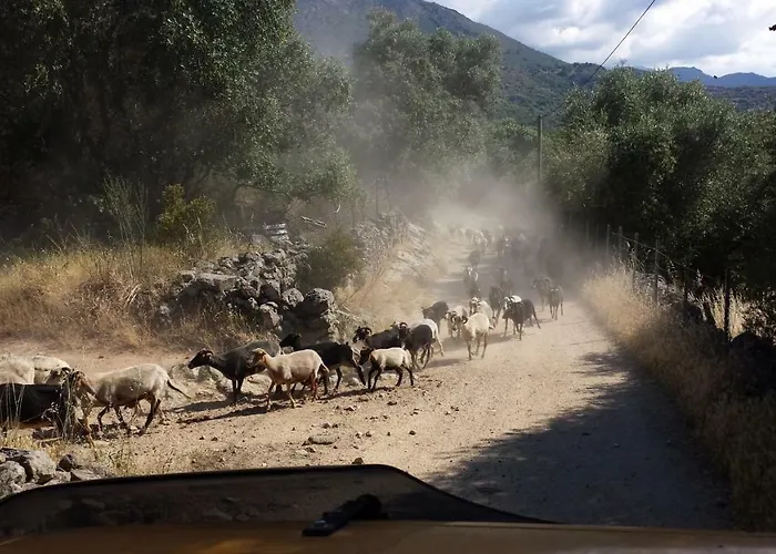 Au Pont De Tuarelli, Ludique, Galeria, Corse Vila Manso