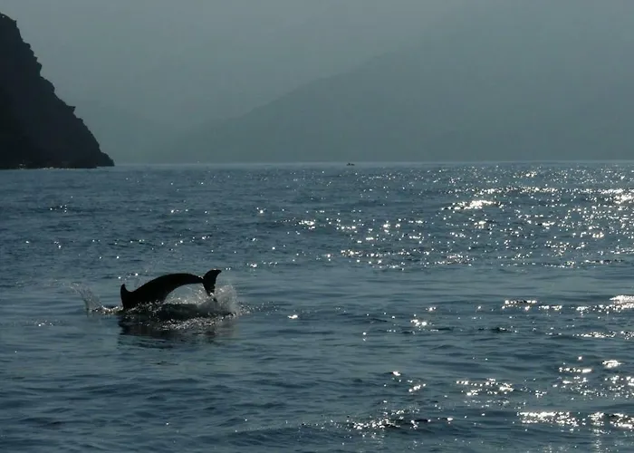 Au Pont De Tuarelli, Ludique, Galeria, Corse Villa