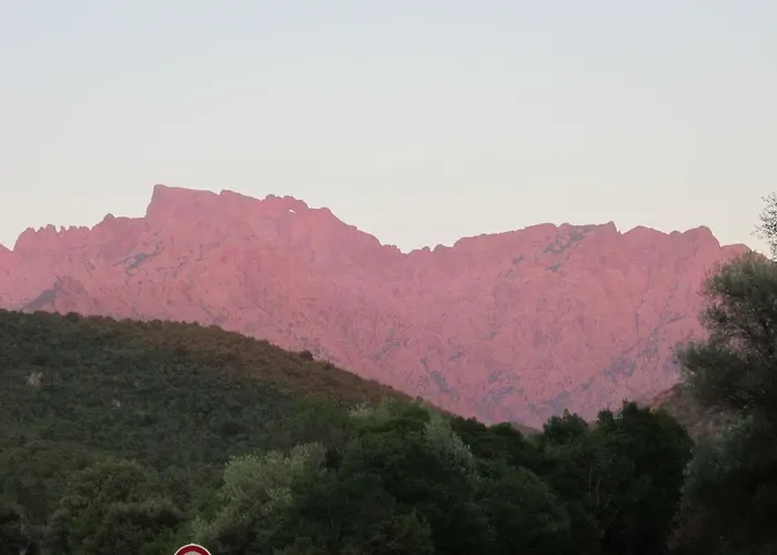 Vila Au Pont De Tuarelli, Ludique, Galeria, Corse Manso