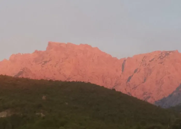 Villa Au Pont De Tuarelli, Ludique, Galeria, Corse *